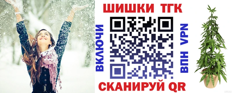 ГАШ Волхов