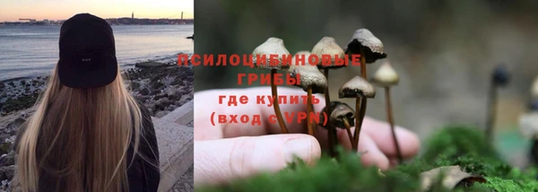 прущий лед Алексин