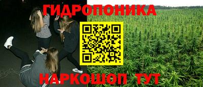 ешки Заволжье