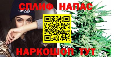 бошки Заводоуковск