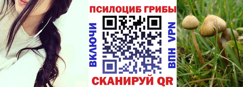 Галлюциногенные грибы Psilocybine cubensis  дарнет шоп  darknet как зайти  Волхов 