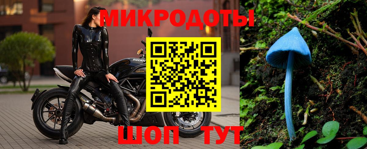 Галлюциногенные грибы MAGIC MUSHROOMS Волхов