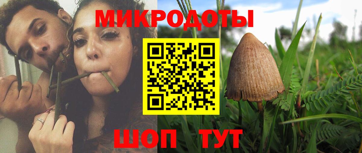 Волхов  Псилоцибиновые грибы ЛСД  Вход с VPN 