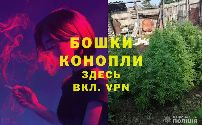 Каннабис White Widow  Волхов 