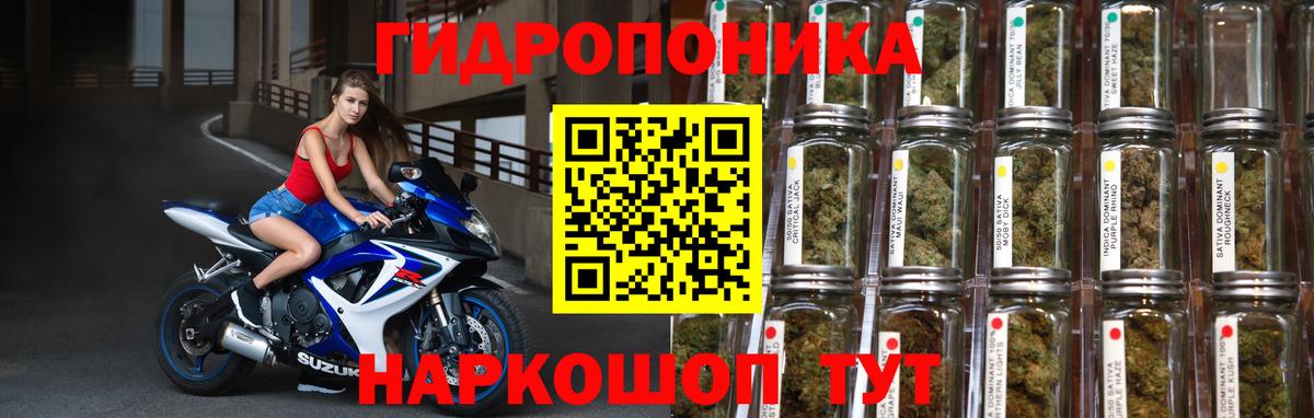 Марихуана конопля Волхов